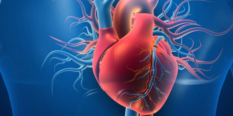 Kalp ve Damar Hastalıkları ‘Önlenebilir Hastalıklar’dır